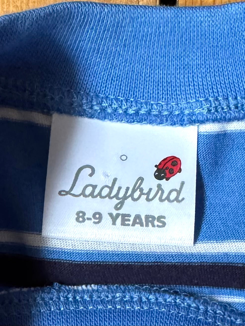 Vintage Striped Blue T-Shirt | 8-9 Years